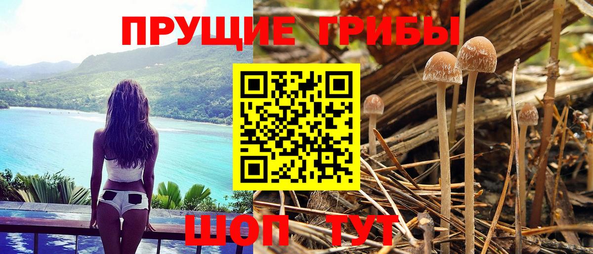 Ишим  Псилоцибиновые грибы мухоморы  Галлюциногенные грибы GOLDEN TEACHER  Вход с VPN 