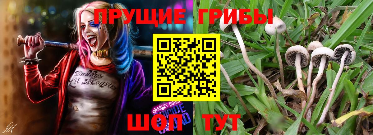 Гашиш  Ишим  LSD-25  COCAIN  Вход с VPN  Меф кристаллы  Каннабис  Меф 